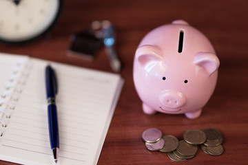 Piggy Bank, Concept of saving	