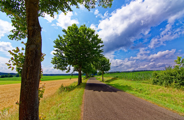 beautiful sky with clouds over the field near the forest