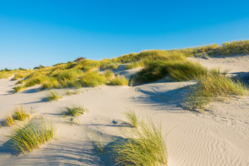 Czołpino wydma wydmy morze bałtyckie bałtyk piasek plaża - obrazy, fototapety, plakaty