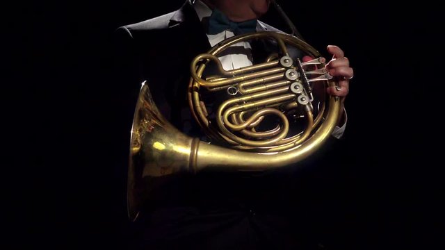 French Horn Player