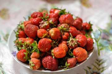 Strawberry harvest lies on a plate, photographed close up.