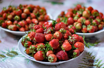 Strawberry harvest lies on a plate, photographed close up.