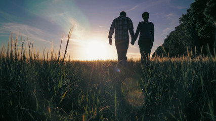 Fototapeta na wymiar Couple walking on the field holding hands near jumping little french bulldog. Silhouettes man and woman and puppy resting at the open air. Breathtaking landscape with young plant like wheat and