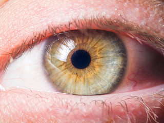 Human eye detail