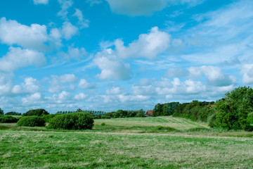 Fototapeta na wymiar green field and blue sky with fluffy clouds. Natural background