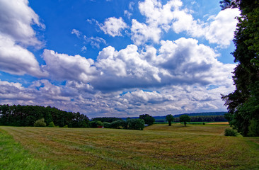 beautiful sky with clouds over the field near the forest