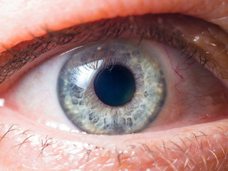 Human eye detail