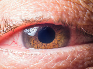 Human eye detail