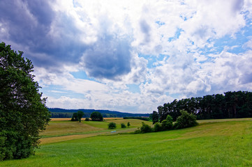 Obraz premium beautiful sky with clouds over the field near the forest