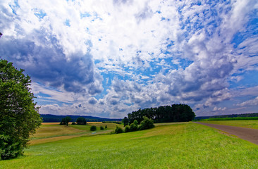 beautiful sky with clouds over the field near the forest