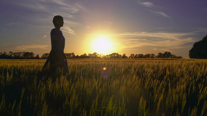 Woman walking around field with young wheat at sunset. Female going in the rays of the setting sun. Lady clothes are flying in the wind. the evening sky with breathtaking sundown.