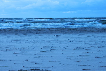 nature © Svitz