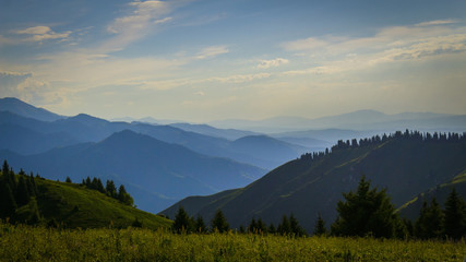 Fototapeta na wymiar Mountain landscape with green coniferous forest