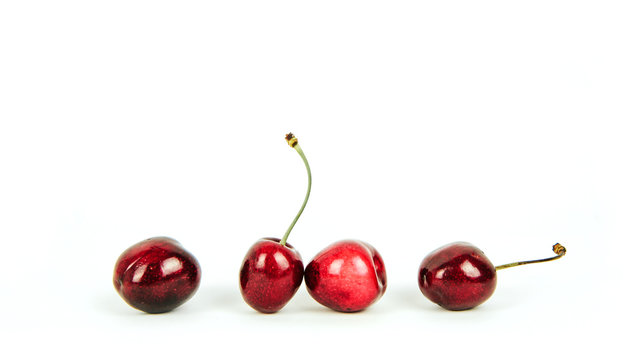 รูปภาพPesty – เลือกดูภาพถ่ายสต็อก เวกเตอร์ และวิดีโอ79 | Adobe Stock