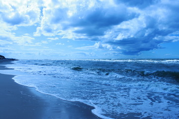 Fototapeta premium nature