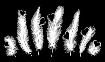 Obraz premium Set of isolated feathers with hearts. Vector illustration.