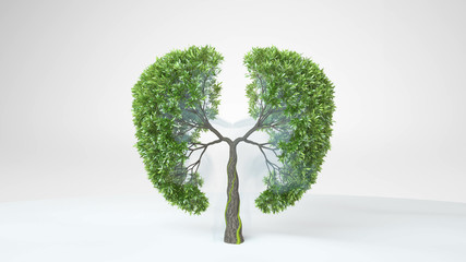 Lungs of the Earth. Growing tree in the shape of Lungs. Eco Concept. Save the World. 3D rendering.