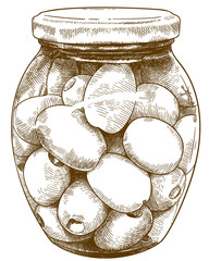 engraving illustration of olives bottle
