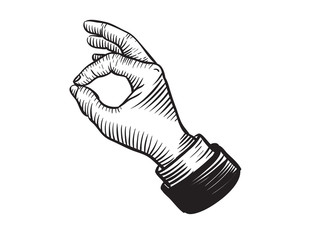 Okay gesture using thumb and index finger.