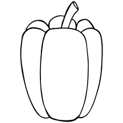 Outline vegetable pepper