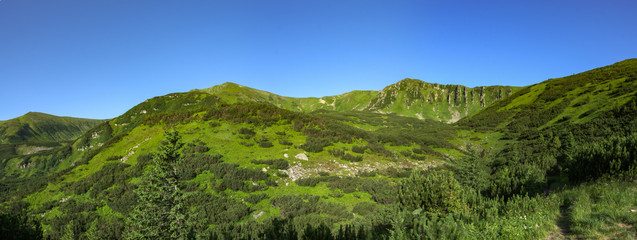 Rocky hills in the Carpathian mountains in summer