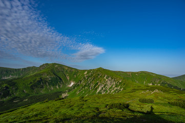 Fototapeta na wymiar Rocky hills in the Carpathian mountains in summer