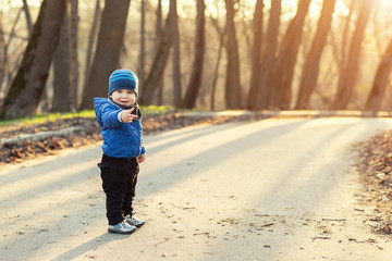 Fototapeta premium Portrait of cute funny caucasian toddler boy in blue jacket and hat enjoying walking at autumn park or forest during sunset with sun rays shining through trees on background. Baby having fun outdoors