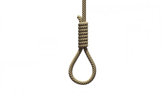 Hangman's noose on a white background. A rope with a knot for suicide or execution by hanging falls from above, swings from side to side like a pendulum and stops. 3D animation with alpha matte.