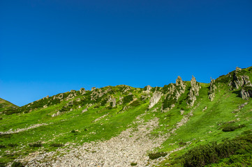 Rocky hills in the Carpathian mountains in summer
