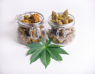 Cannabis buds on clear glass jars isolated on white