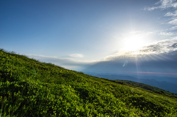 Obraz premium Sunrise in the summer in the mountains