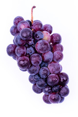 purple grapes with water drops on white background