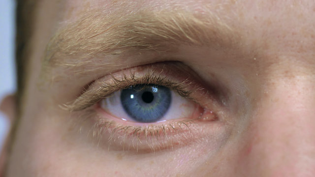 macro view male blue eye. close up nordic male face with pale skin