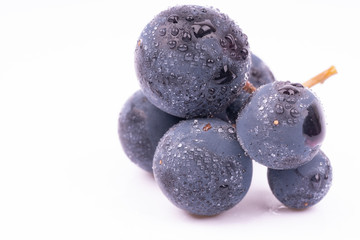 purple grapes with water drops on white background