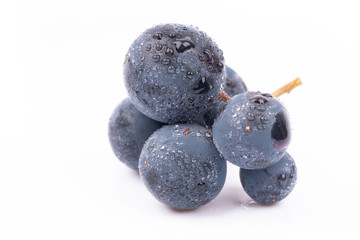 purple grapes with water drops on white background
