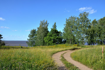 Fototapeta na wymiar Summer landscape: a dirt road in a green field and a birch grove against a lake and a blue cloudy sky. Lake Ilmen Novgorod region. European landscape with birch trees and a lake