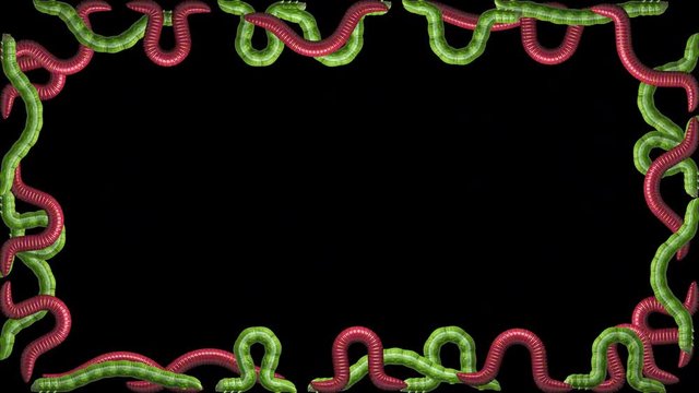 Swarm of green caterpillars and red worms crawling around the edge of the screen. Transparent background ProRes 4444 in 4k UHD resolution. Seamless loop 3D animation with alpha channel.