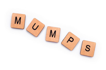 Obraz premium Słowo Świnki