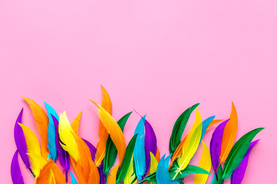 design for blog or desktop with colorful bird feathers on pink background top view mockup