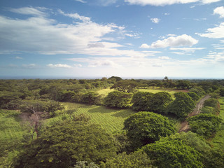 Obraz premium Green agricultural fields on sunset time