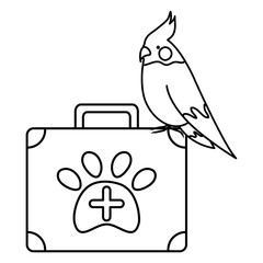 cute little bird in medical kit