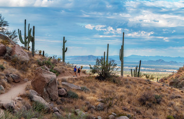 Hikers On Elevated Desert Trail In Scottsdale, AZ,