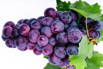 purple grapes with water drops on white background