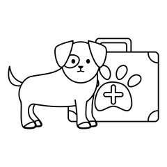 little dog adorable with medical kit