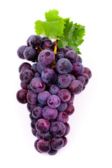 purple grapes with water drops on white background