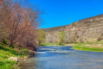 spring nature with little river flowing 