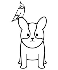 Fototapeta na wymiar little dog with bird adorables mascots characters