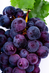 Fototapeta premium purple grapes with water drops on white background