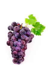 purple grapes with water drops on white background