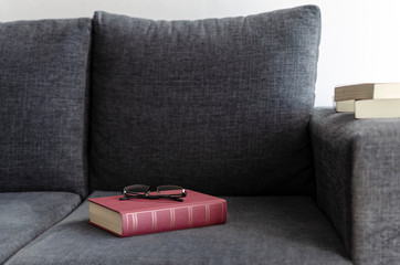 books on the sofa. armchair. glasses.